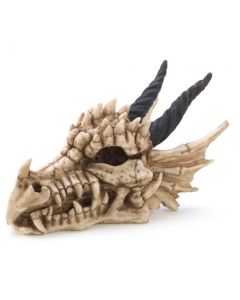 DRAGON SKULL TREASURE BOX